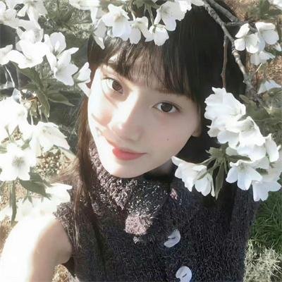 我死在去年夏天